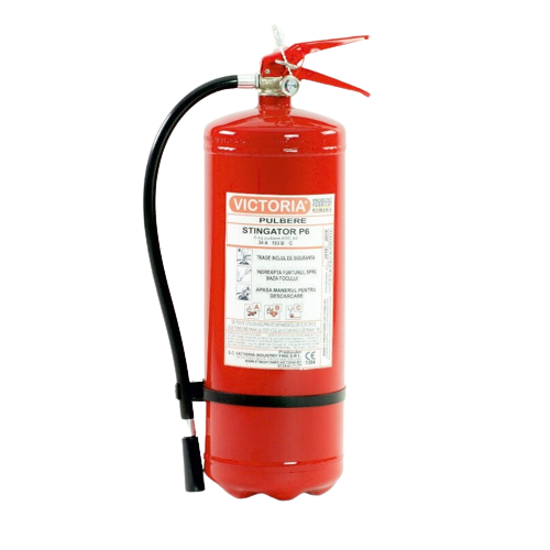 Stingatorul P6